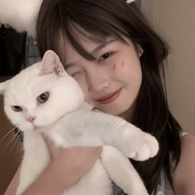 刀剑战姬百度手游下载