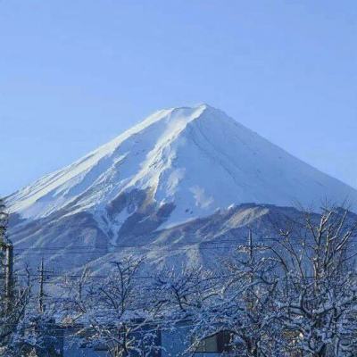 冲向地心手游下载
