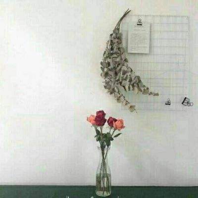 百万手办王手机游戏下载
